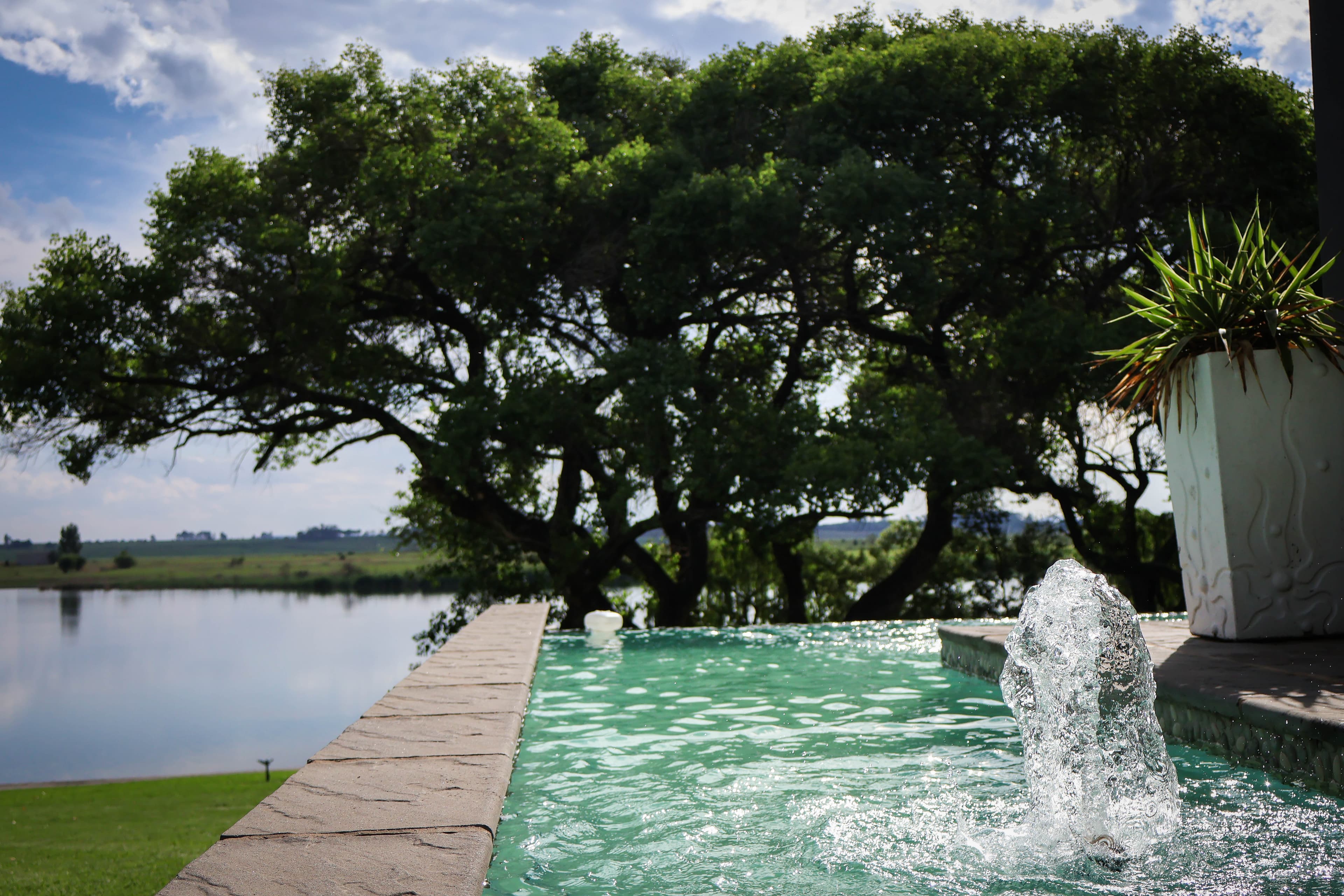Luxury Villa — photo 5